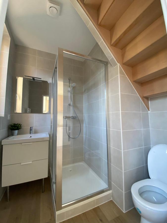 Studio Renove Proche Palais Des Sports 格勒诺布尔 外观 照片